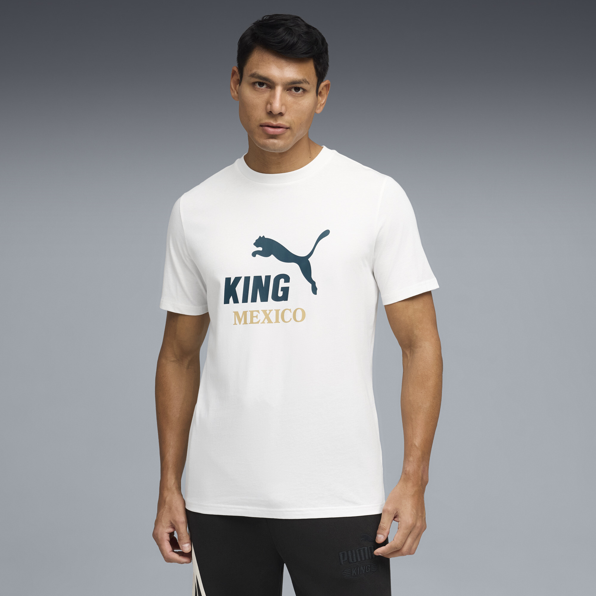 PUMA Mexico KING Soccer Fanwear Men's Graphic T-Shirt in White, Size XXL