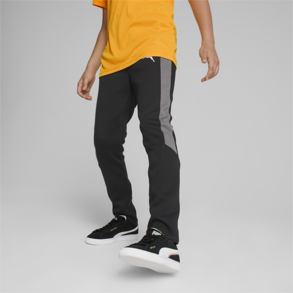 Evostripe Pants Youth, Puma Black, large-ZAF