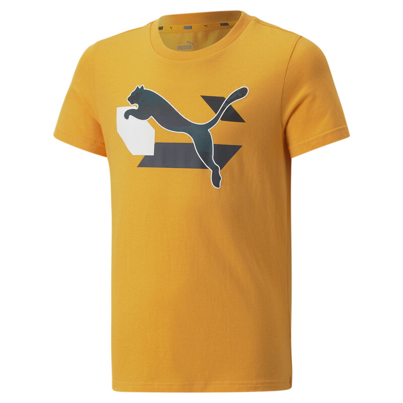 

PUMA Alpha Graphic Youth Regular Fit T-Shirt
