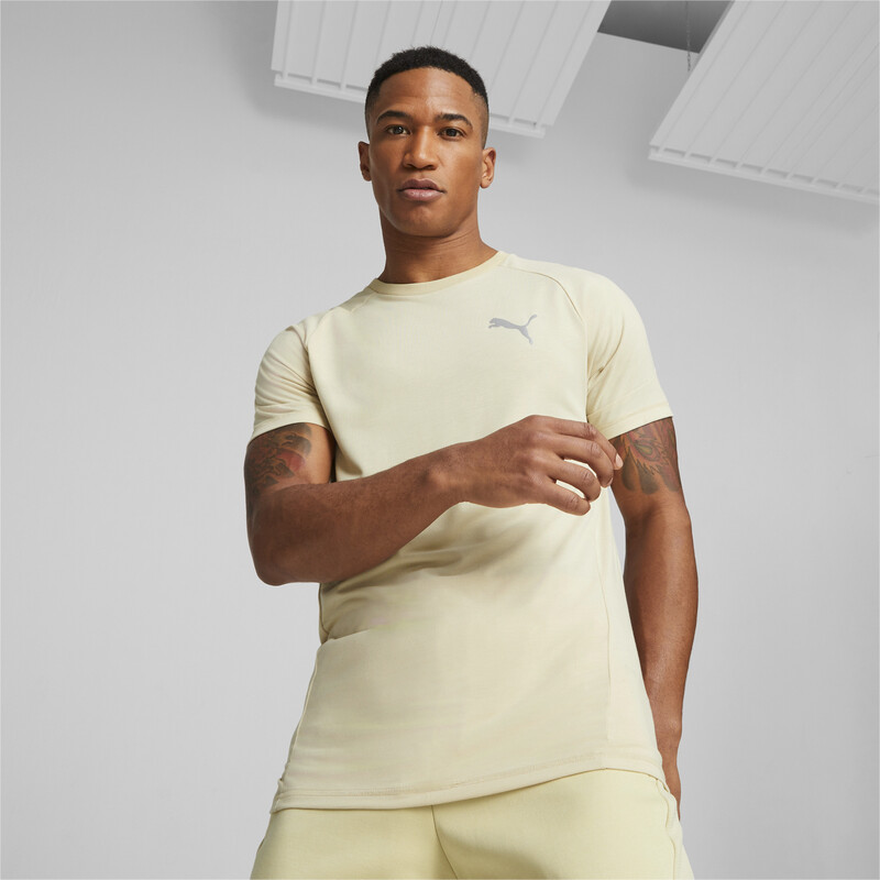 

Men's PUMA Evostripe T-Shirt, Gray