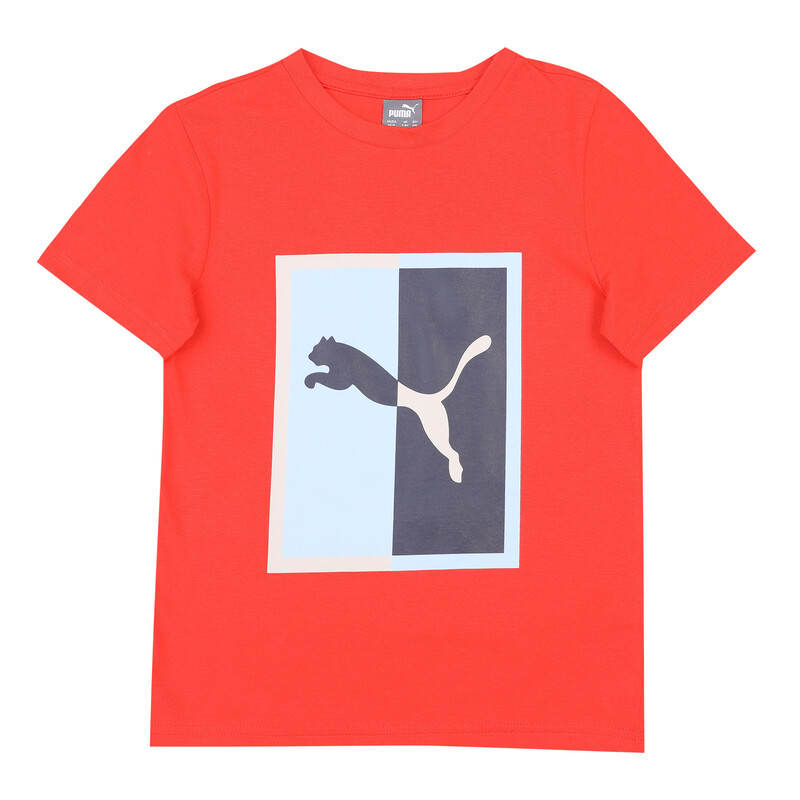 

PUMA Graphic Box Logo Youth Regular Fit T-Shirt, Gray