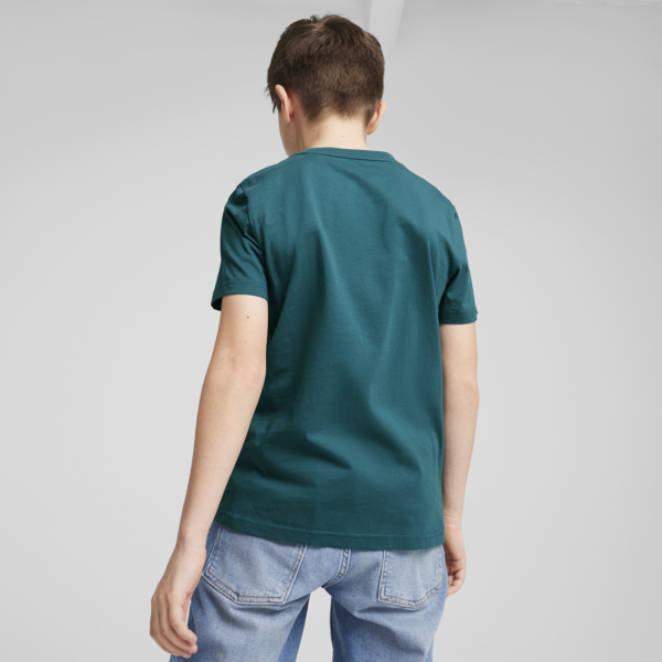 Essentials Logo Tee Youth, Cold Green, large-ZAF
