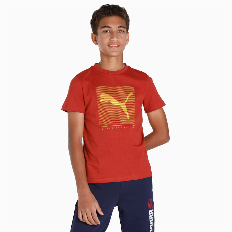 

PUMA Graphic Vl Youth Regular Fit T-Shirt