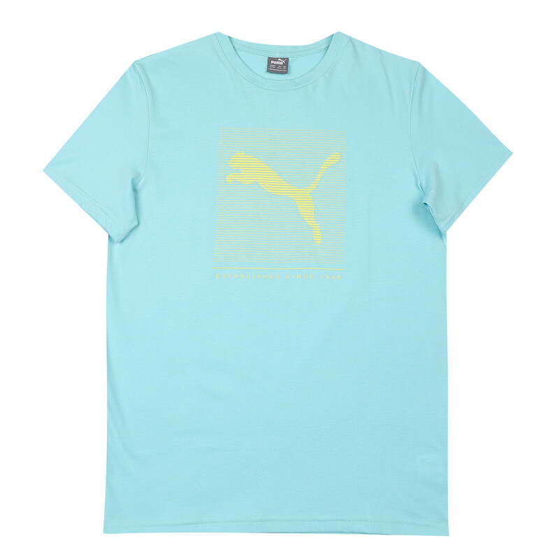 

PUMA Graphic Vl Youth Regular Fit T-Shirt
