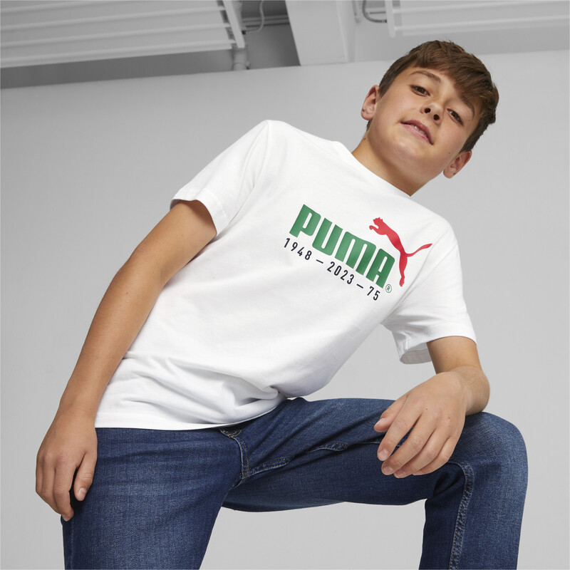 

Men's PUMA No.1 Logo Celebration Youth Tee