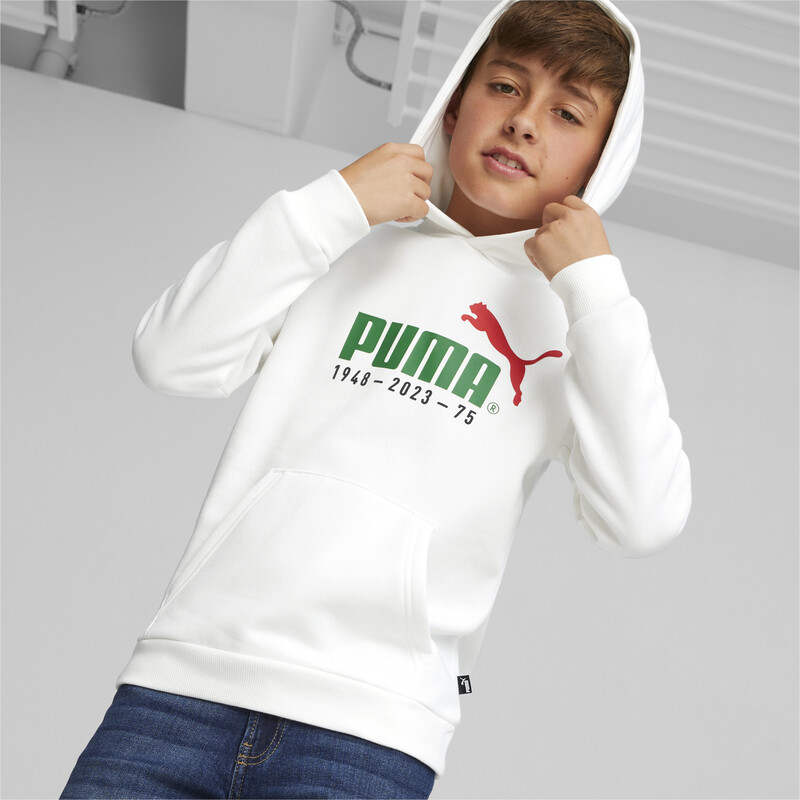 

PUMA No.1 Logo Celebration Youth Hoodie