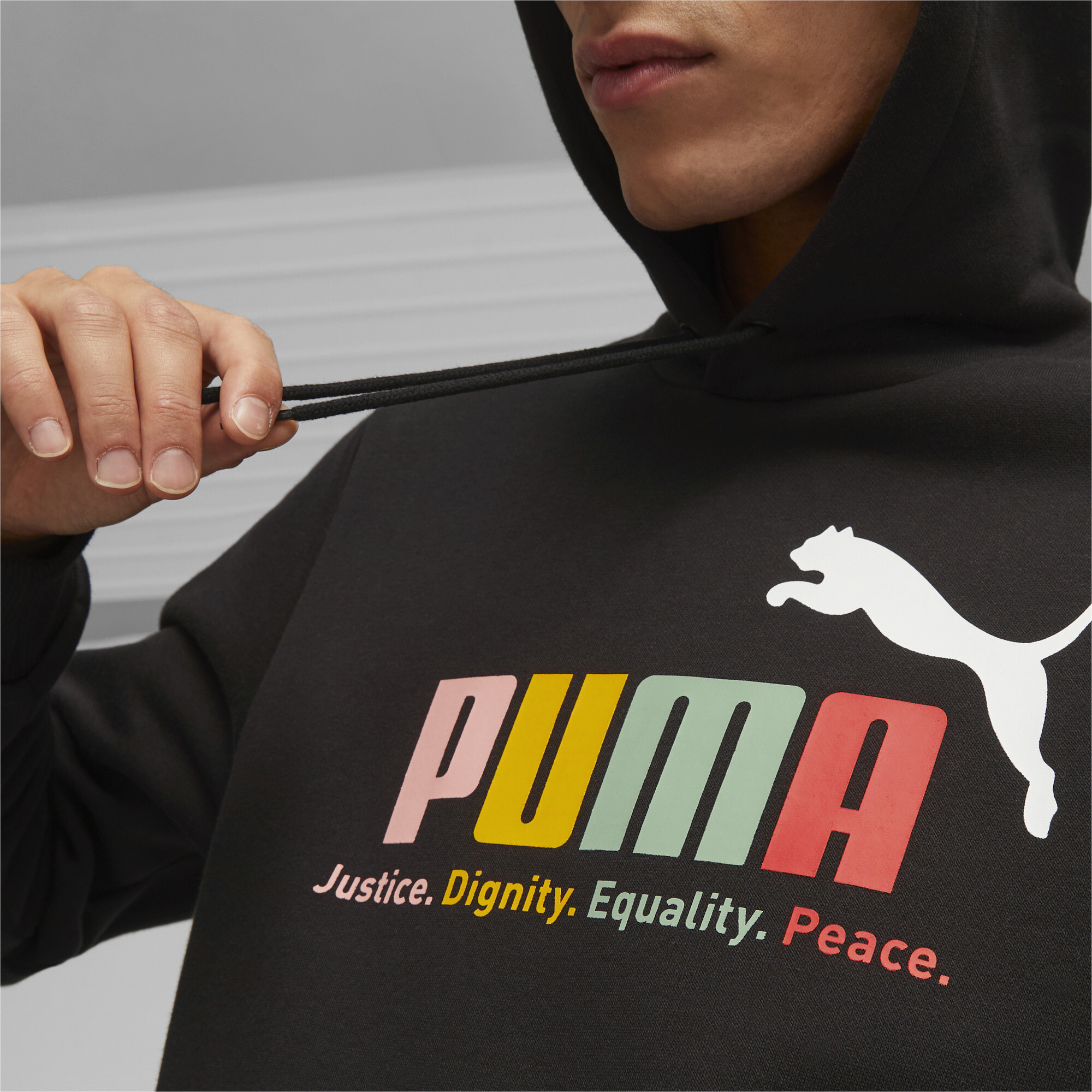 Sudadera Hombre Puma Essential+Multicolor Hood 677171-65