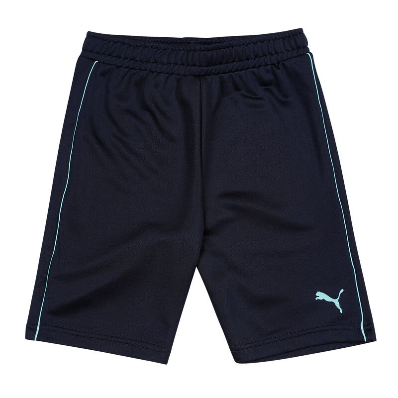 

PUMA Cricket Solid Youth Shorts