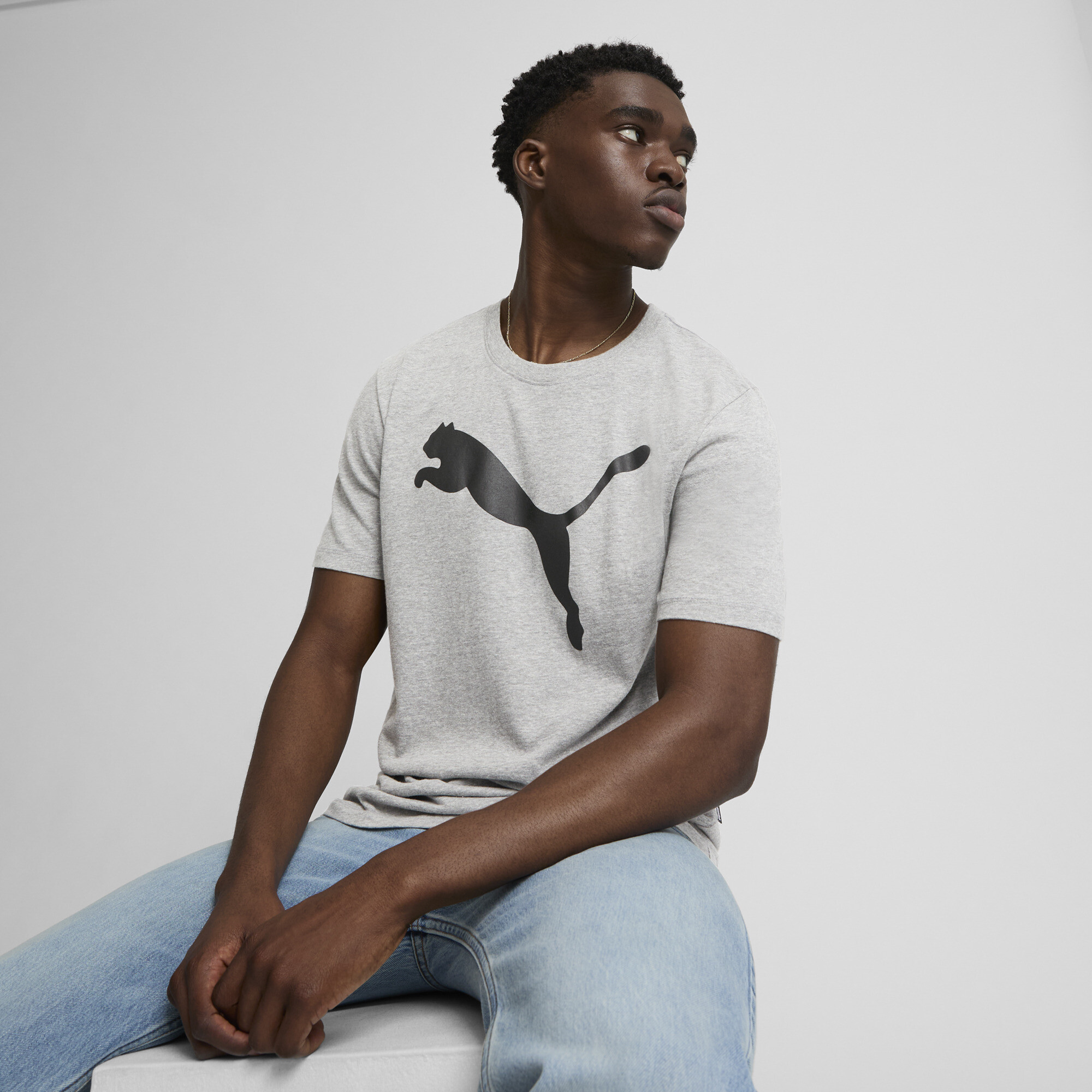 PUMA Essentials Big Cat Men's T-Shirt in Grey, Size XL