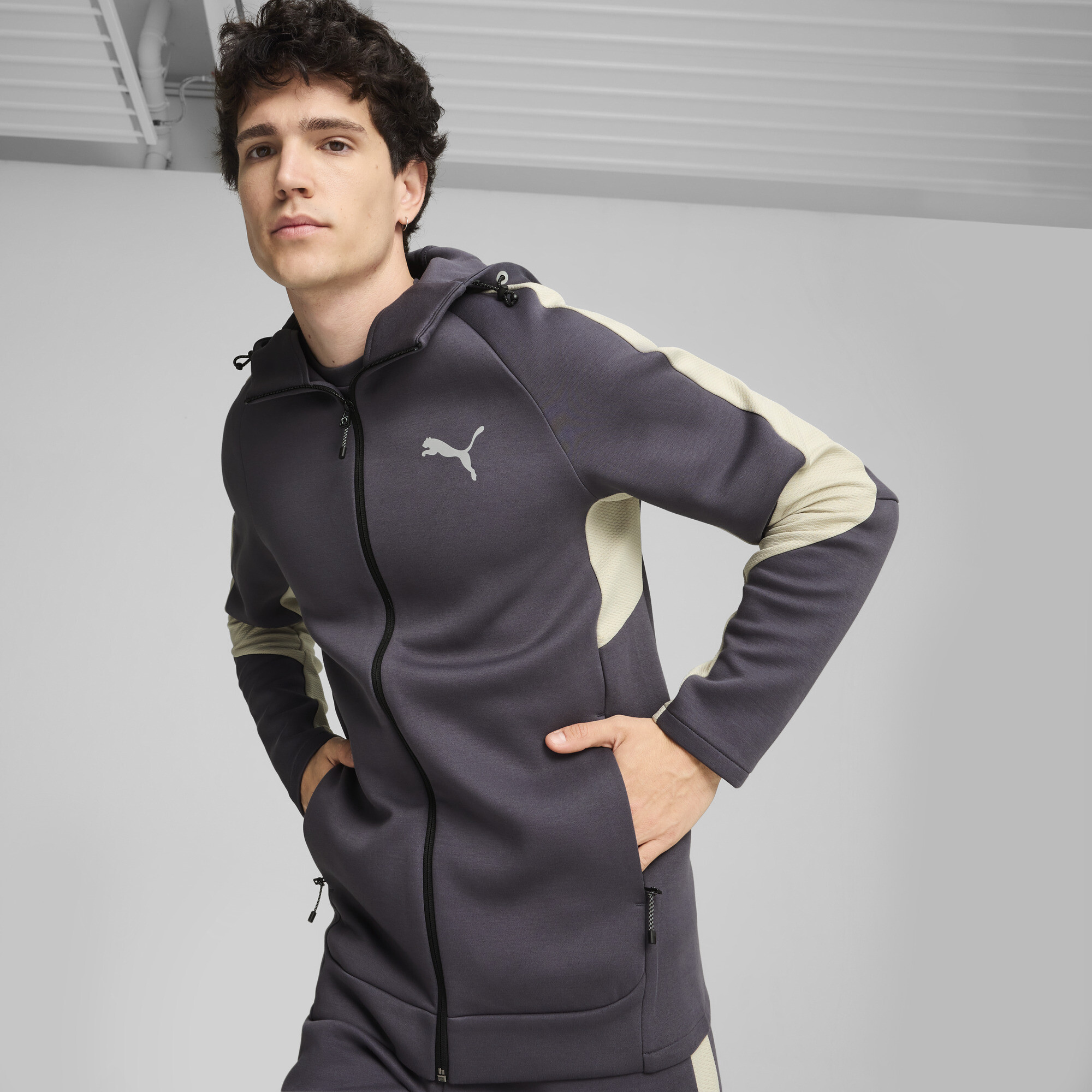 EVOSTRIPE Full-Zip Hoodie Men