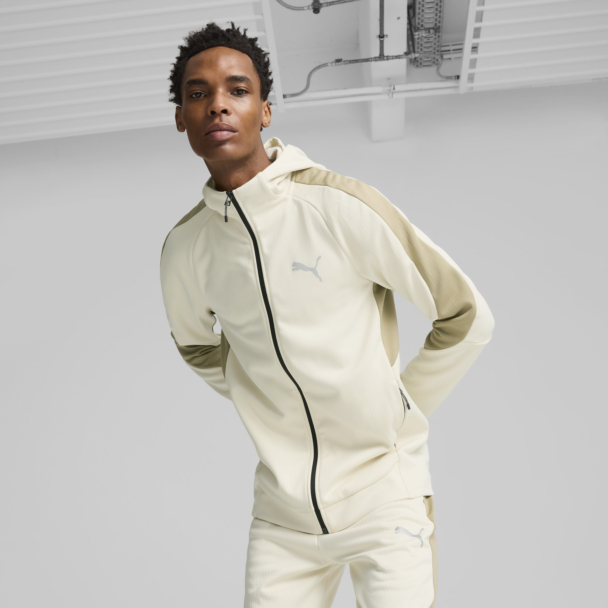 Puma EVOSTRIPE Hoodie mit durchgehendem Reißverschluss Herren | Mit Plain | Alpine Snow | Größe: L