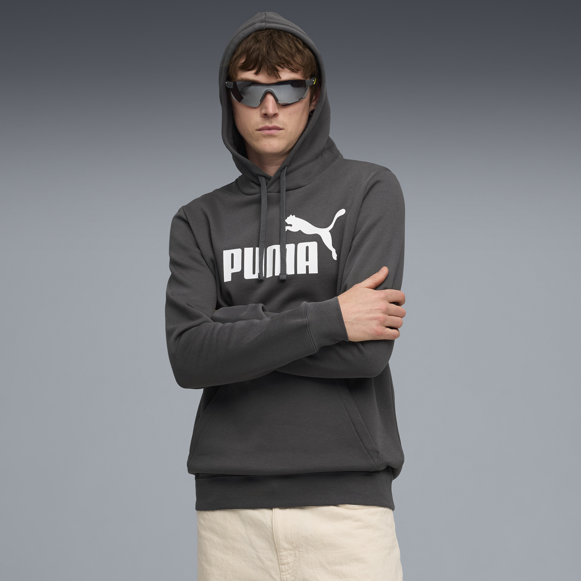Puma Essentials No. 1 Logo Men's Hoodie In Gray
