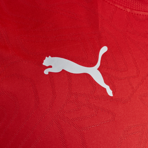 Camiseta de entrenamiento C.A. Independiente, PUMA Red-PUMA Silver, large-ARG