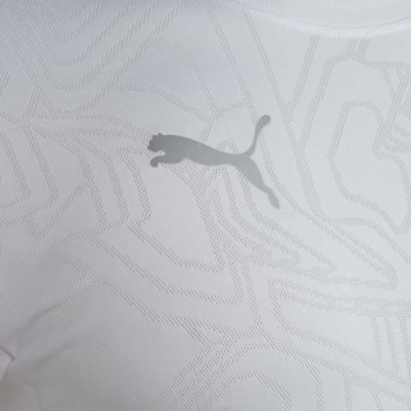 Camiseta de entrenamiento C.A. Independiente, PUMA White-PUMA Silver, large-ARG