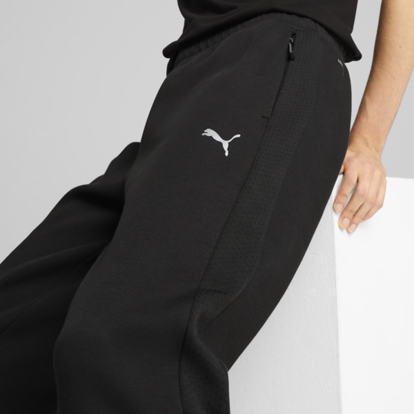 EVOSTRIPE Pants Men, PUMA Black, large-ZAF
