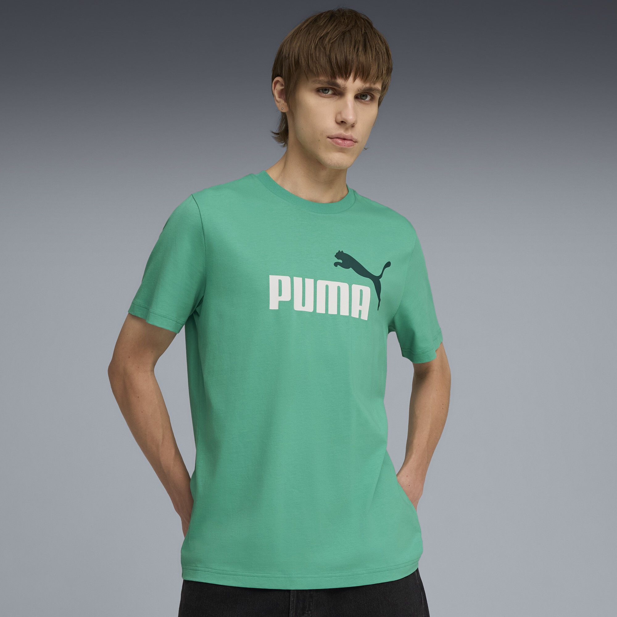 PUMA Essentials 2 Colour No. 1 Logo T-shirt voor Heren, Groen, Maat M