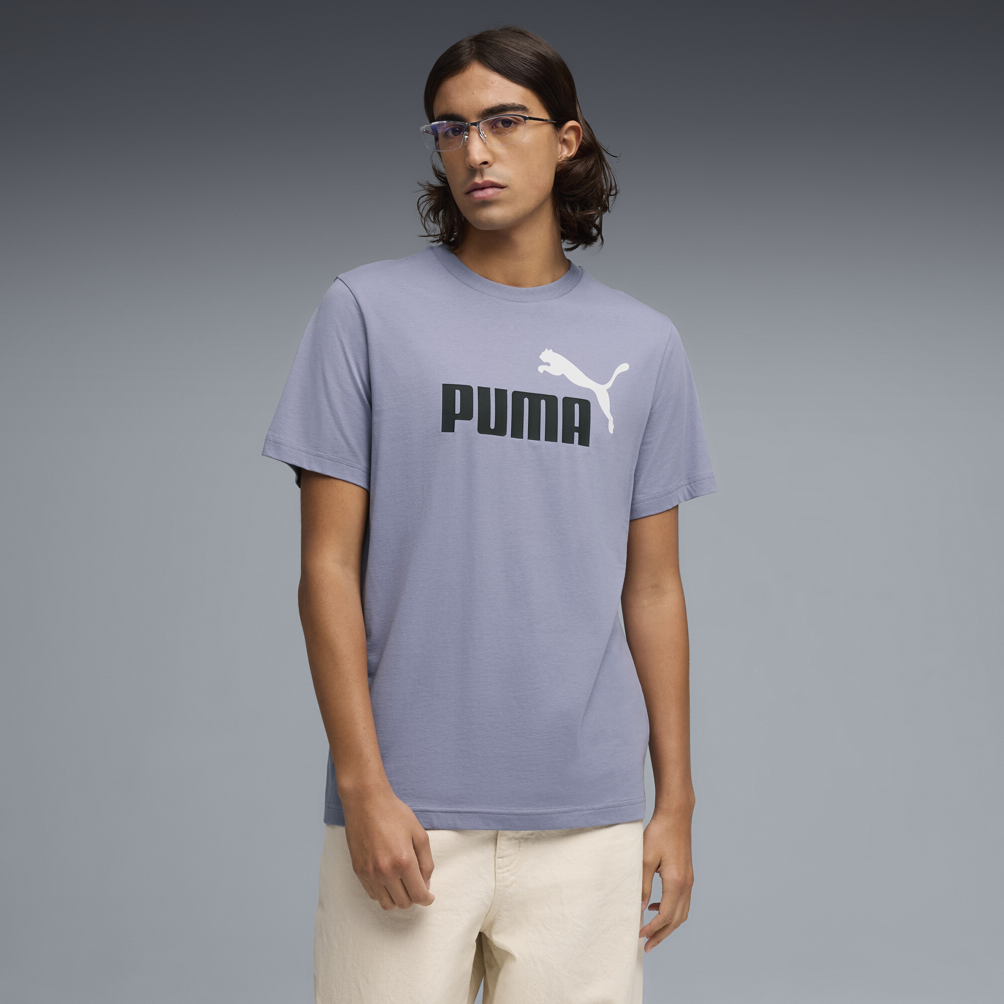 PUMA Essentials 2 Colour No. 1 Logo T-shirt voor Heren, Grijs, Maat XL