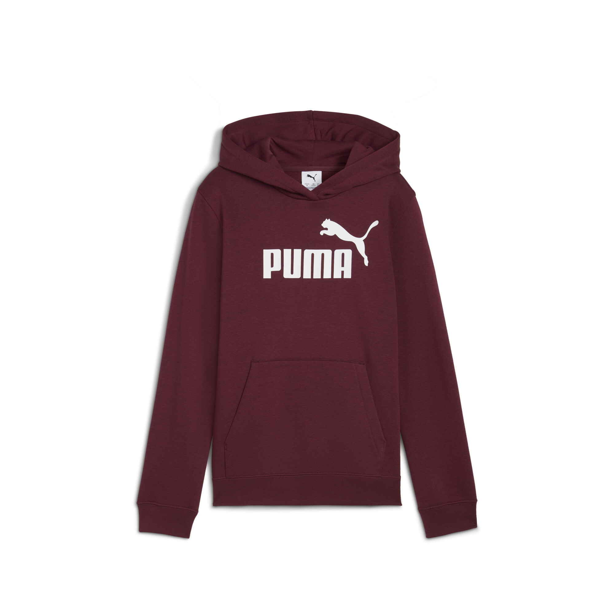 PUMA Essentials Big Kids' Fleece Hoodie - Picture 21 of 25