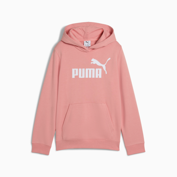 ESS No. 1 Logo Hoodie Youth, Pink Fruit, large-MEX