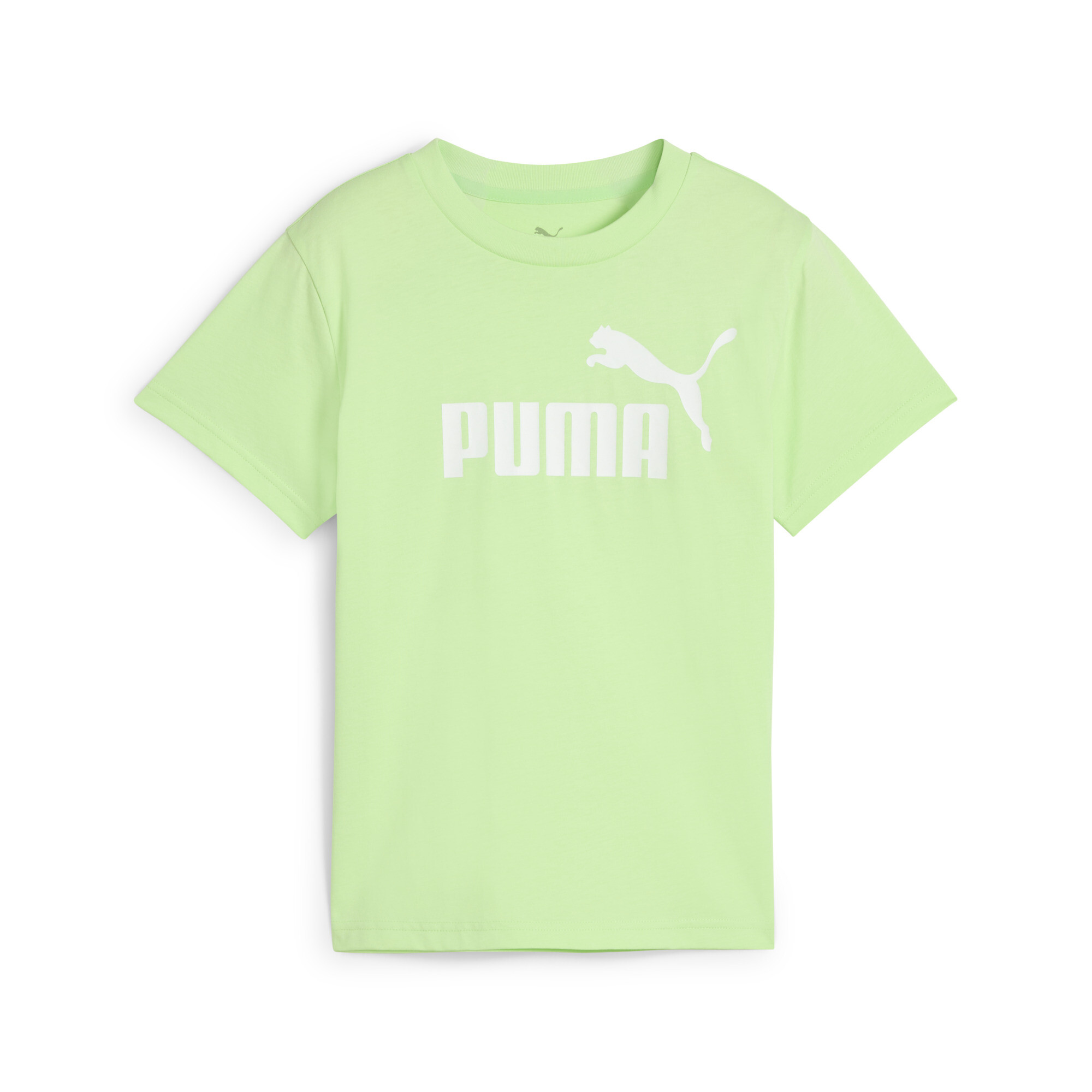 Puma ESS No. 1 Logo T-Shirt Teenager Für Herren Für Damen Für Kinder | Mit Plain | Spring Fern | Größe: 15-16Y