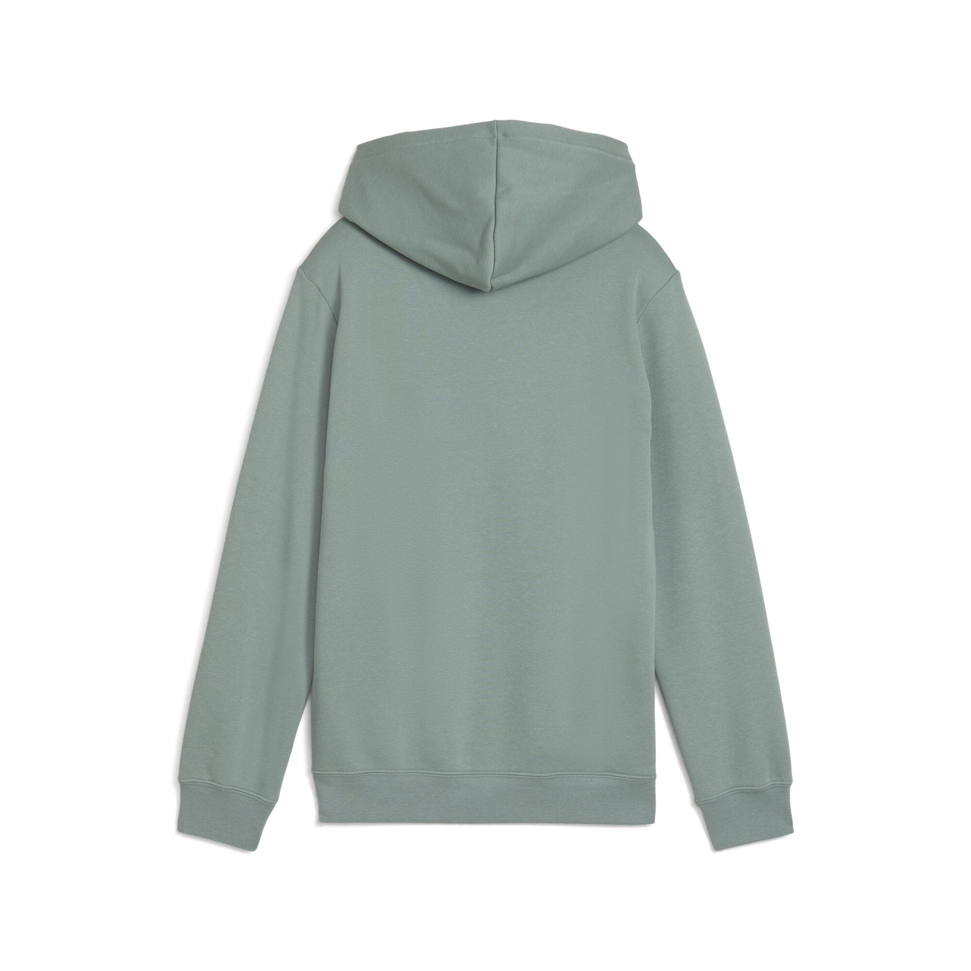 Puma Essentials Logo Hoodie Kids