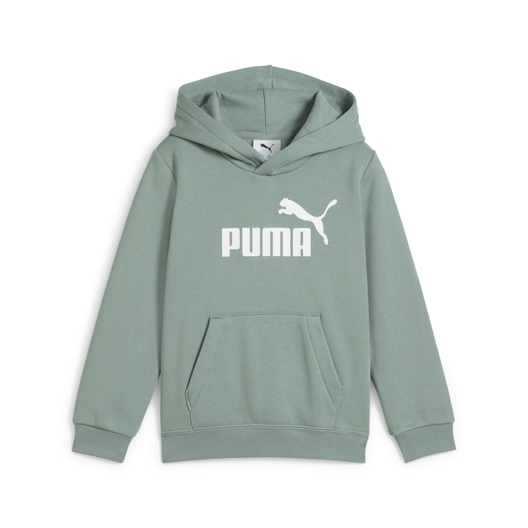 PUMA Essentials Little Kids' Fleece Hoodie - Picture 26 of 33