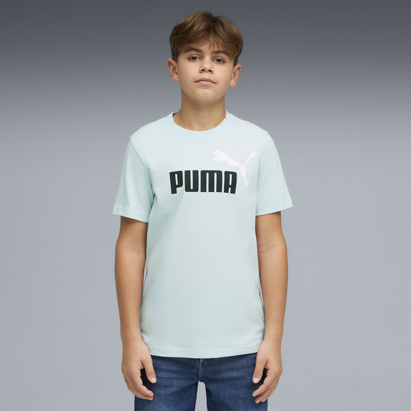 

PUMA Colour No.1 Logo Youth Tee