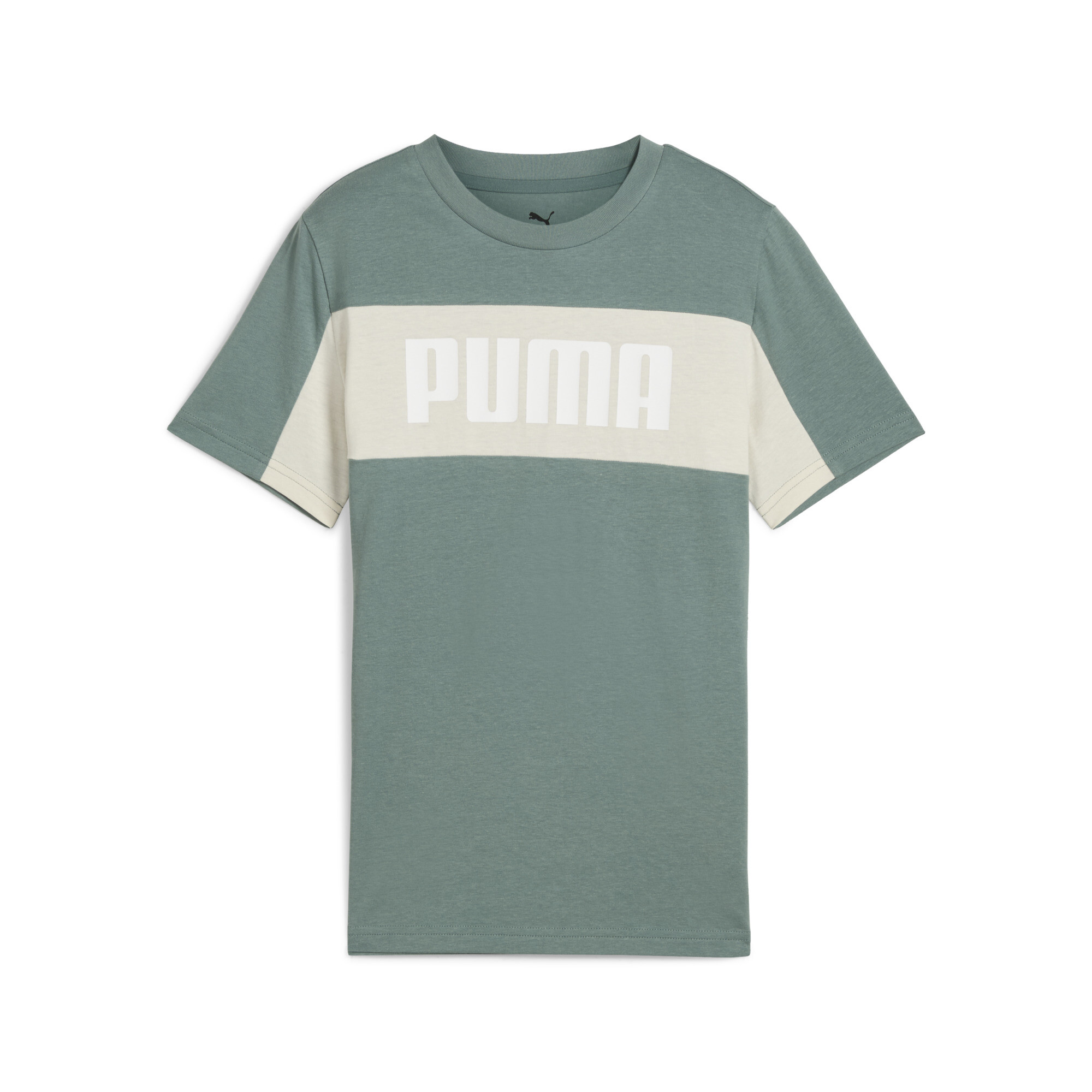 Puma Essentials Block T-Shirt Teenager Für Herren Für Damen Für Kinder | Mit Plain | Green Moon | Größe: 15-16Y