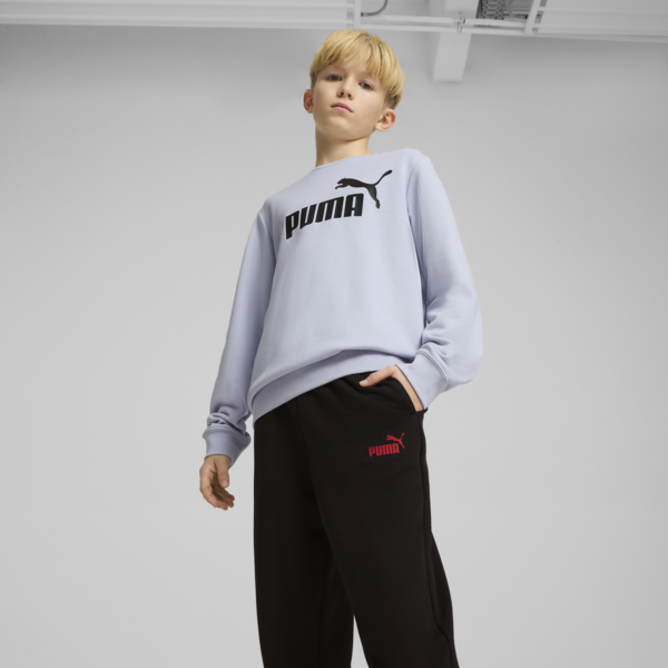 Essentials No. 1 Logo Crew Sweat Suit Youth, Cool Weather, large-ZAF