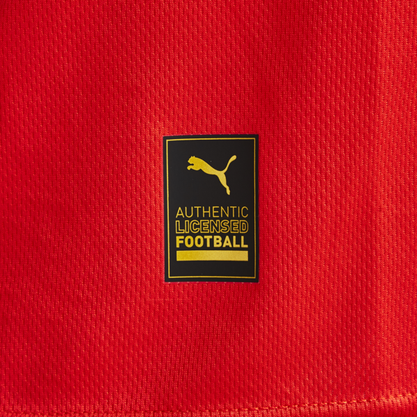 Camiseta CAI Local para hombre, PUMA Red, large-ARG