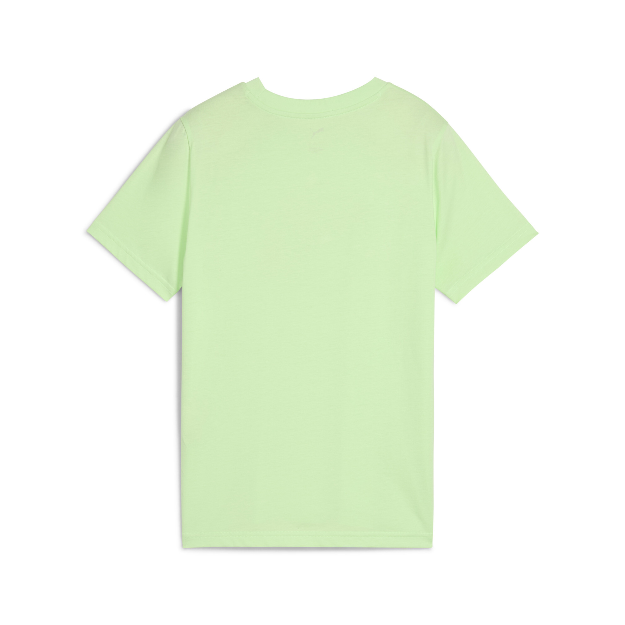 PUMA Graphics T-shirt, Spring Fern