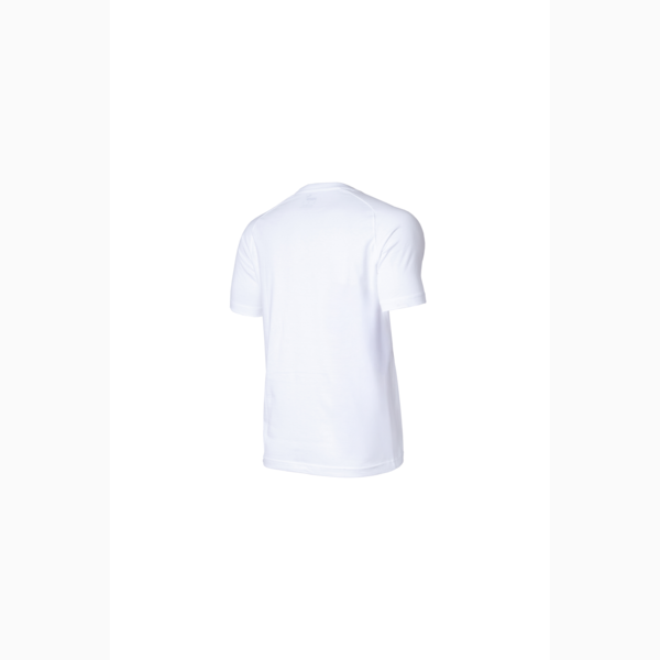 Remera CAI EVOSTRIPE, PUMA White, large-ARG