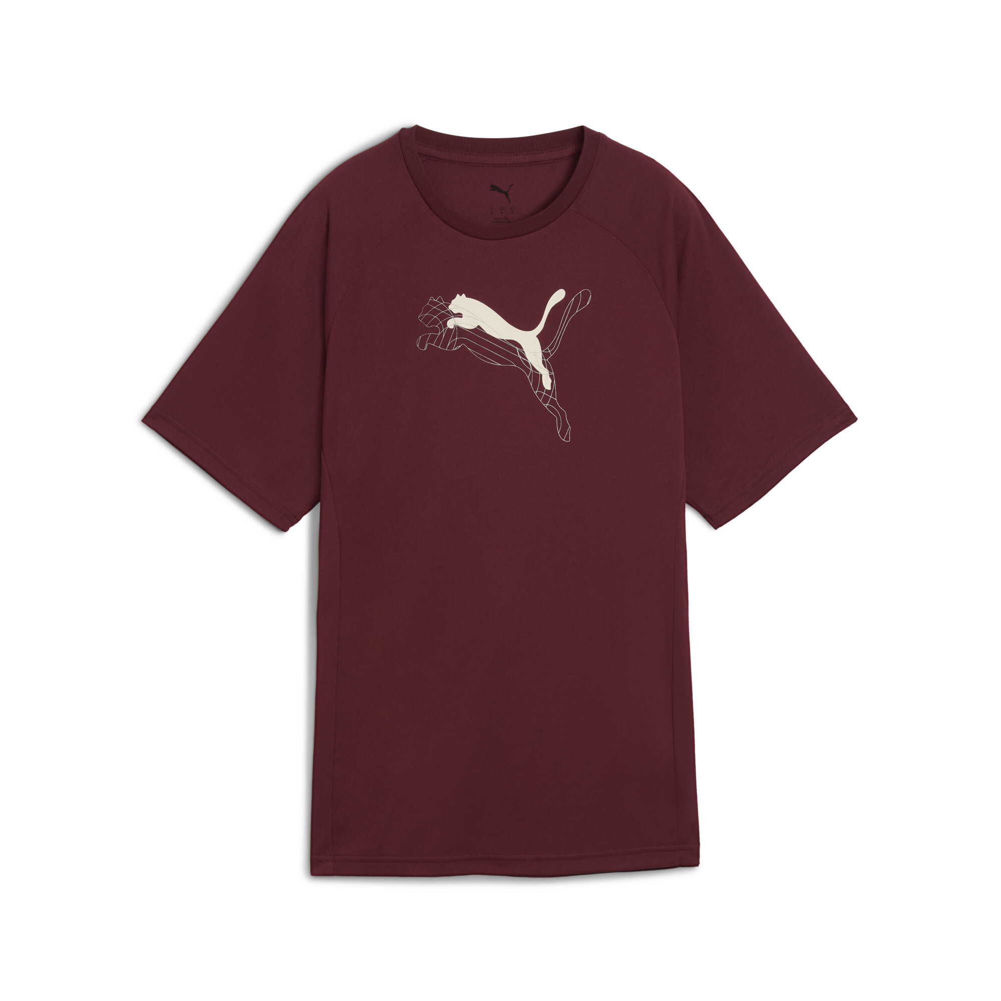 PUMA Evostripe Relaxed Graphic T-shirt voor Dames, Maat M thumbnail 3