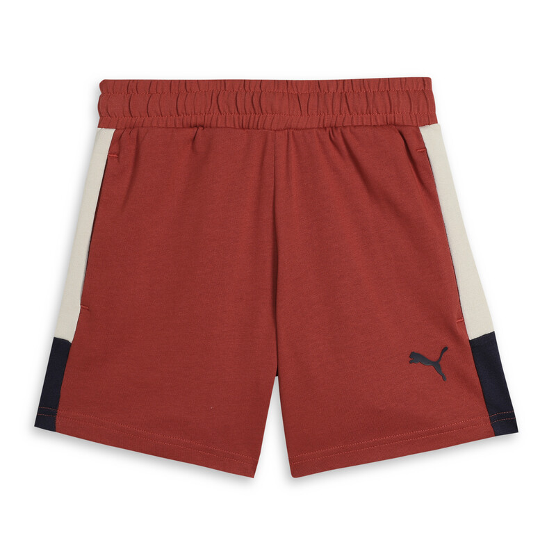 

PUMA Youth Colorblock Shorts