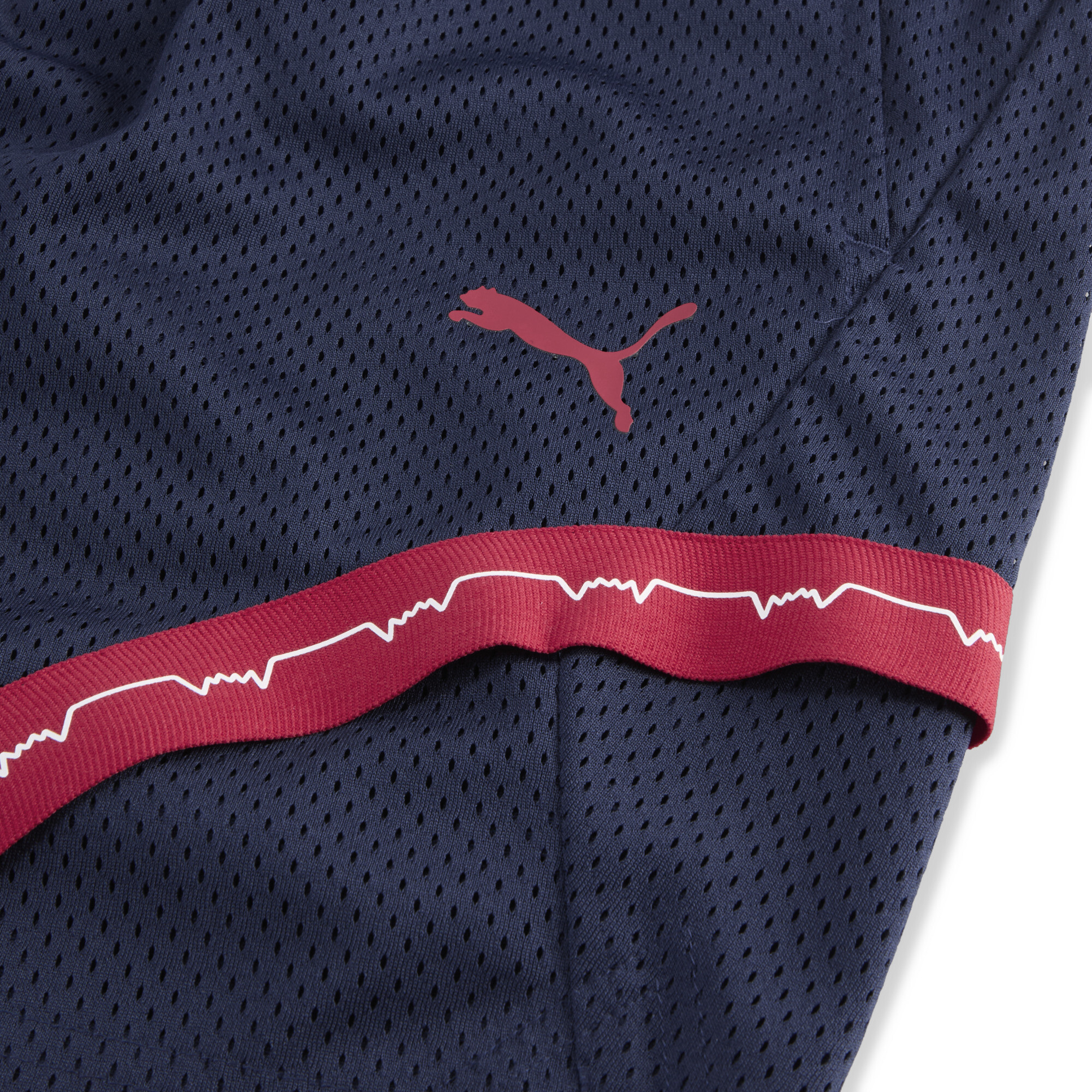 PUMA Saski Baskonia Post Game basketbalshort voor Heren, Blauw, Maat L thumbnail 2