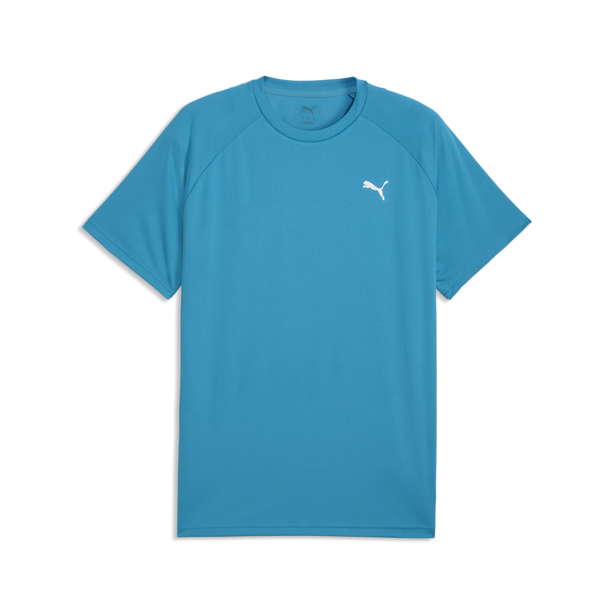 PUMA Training T-shirt Heren, Blauw, Maat L
