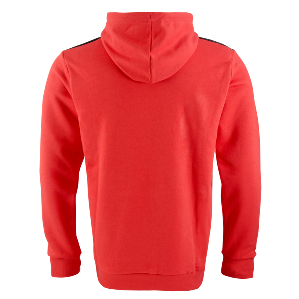 Buzo Hoodie CAI FTBLNRGY, PUMA Red-Chili Pepper, large-ARG