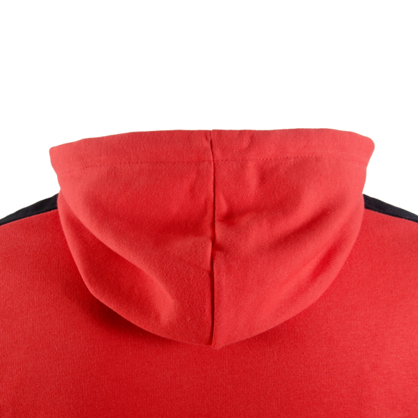 Buzo Hoodie CAI FTBLNRGY, PUMA Red-Chili Pepper, large-ARG