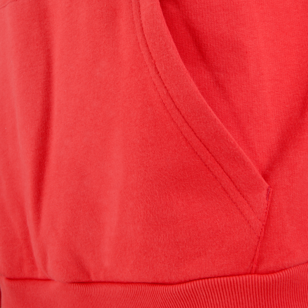 Buzo Hoodie CAI FTBLNRGY, PUMA Red-Chili Pepper, large-ARG