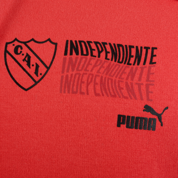 Buzo Hoodie CAI FTBLNRGY, PUMA Red-Chili Pepper, large-ARG