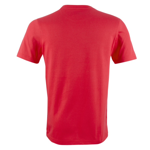 Remera CAI FTBLNRGY, PUMA Red-Chili Pepper, large-ARG