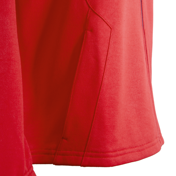 Campera CAI FTBLNRGY+, PUMA Red-PUMA White, large-ARG
