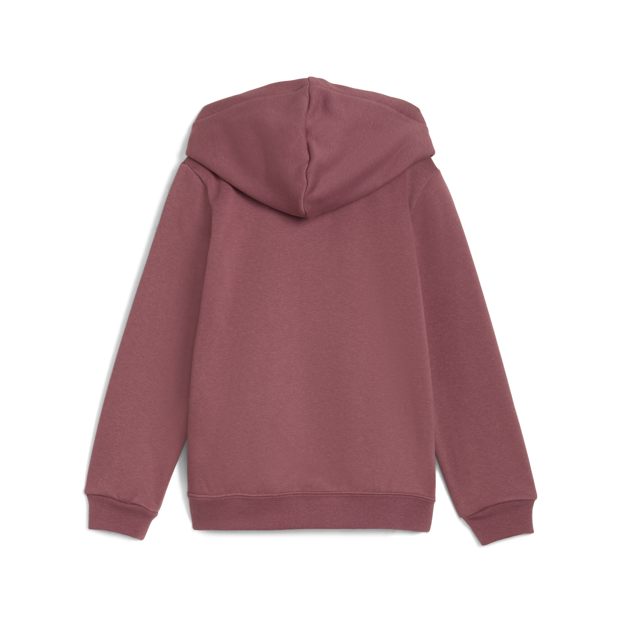 PUMA Essentials Fleece Logo Hoodie Kinderen voor Dames, Maat 5-6Y thumbnail 2