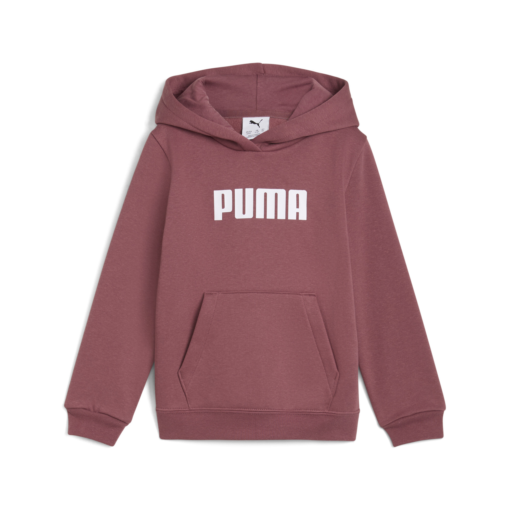 PUMA Chandailà capuchon avec logo en molleton Essentials Kids Vêtements Wood 5 6Y