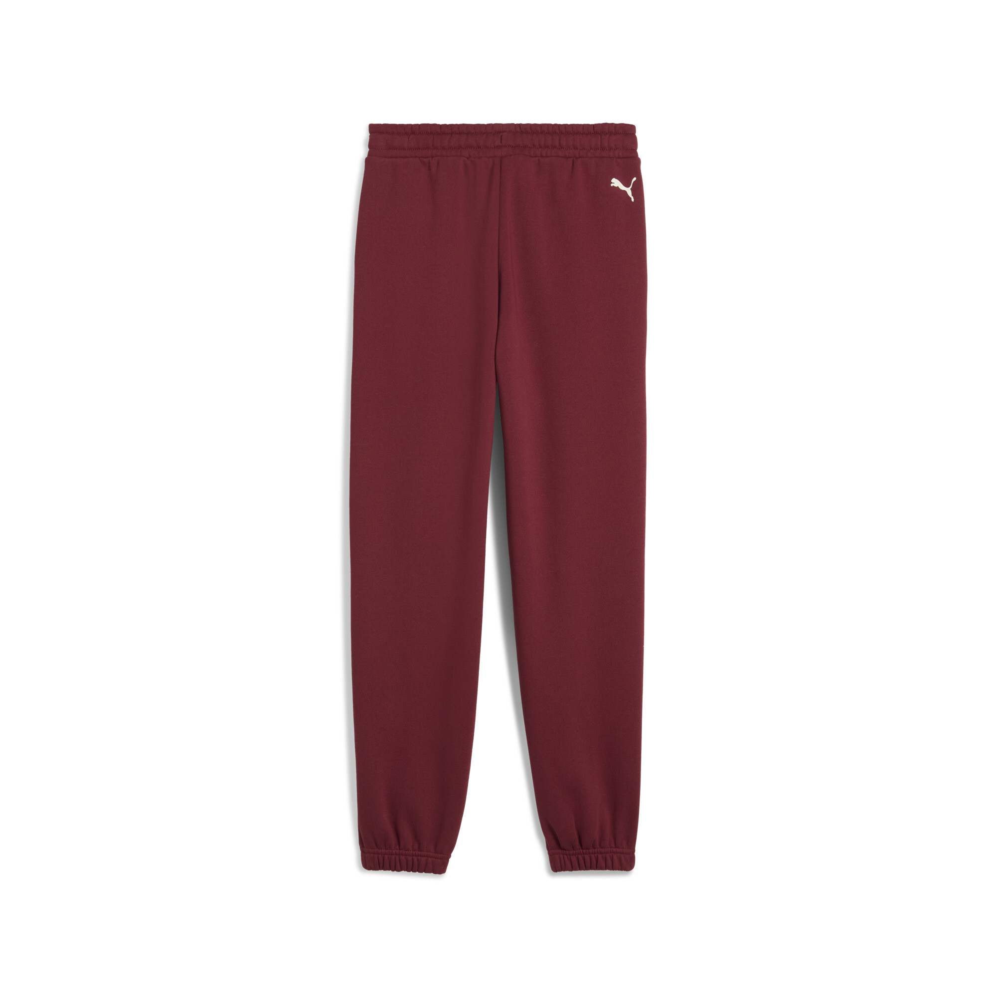 PUMA Varsity Fleece Broek Jeugd voor Heren, Rood, Maat 5-6Y thumbnail 2