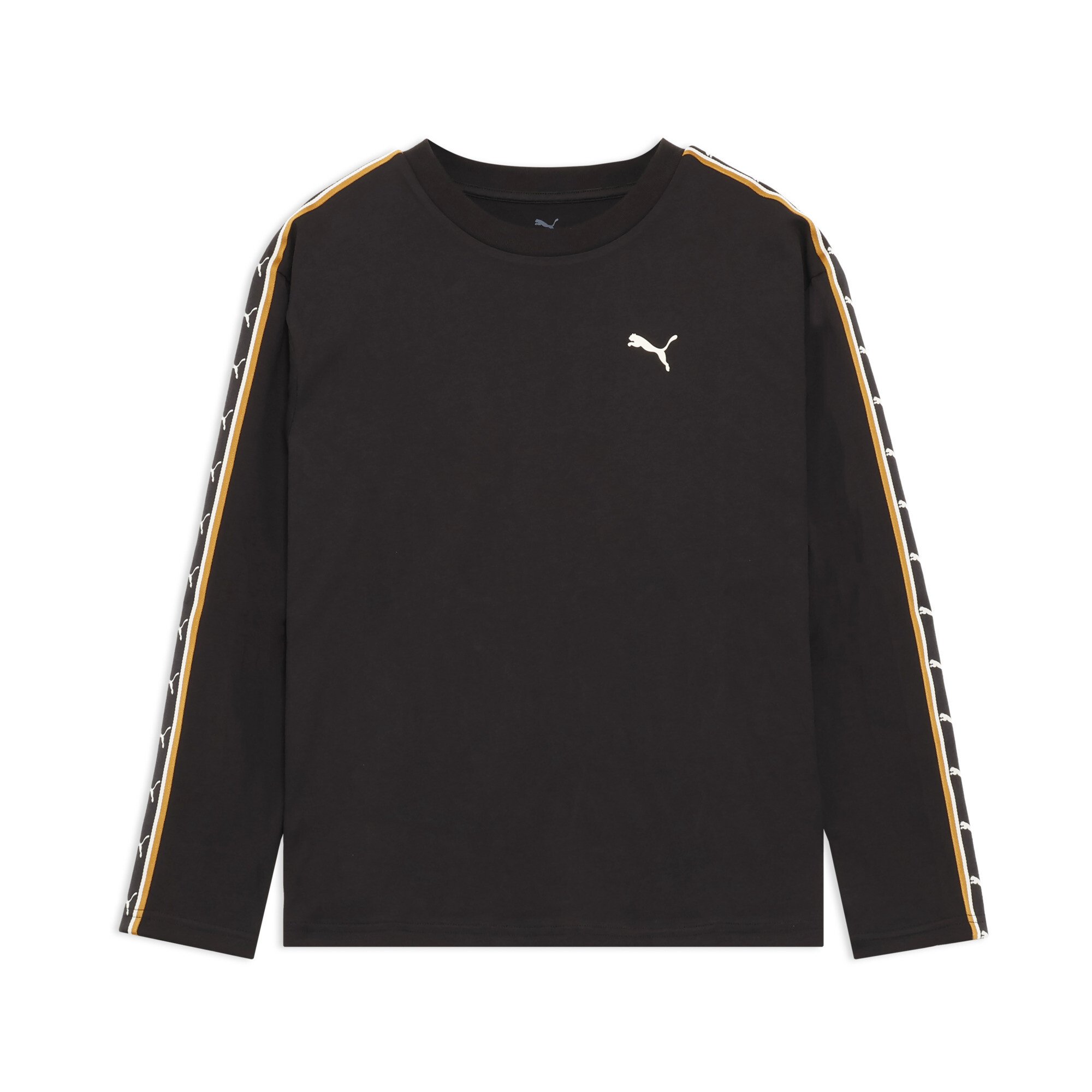 ��� ESS ����١��ƥå� MX �ơ��� Ĺµ T�����