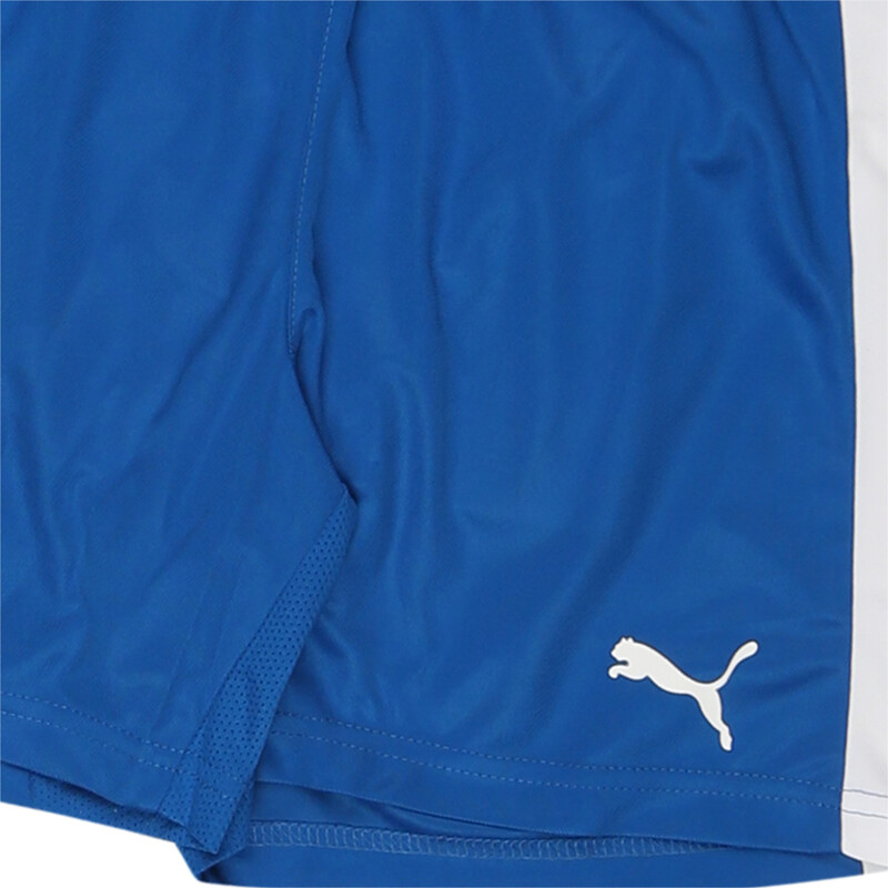 

PUMA Pitch Shorts