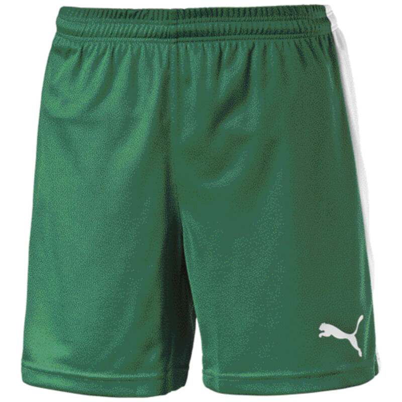 

PUMA Pitch Shorts