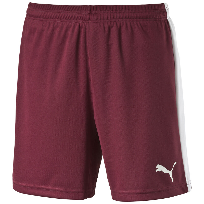 

PUMA Pitch Shorts
