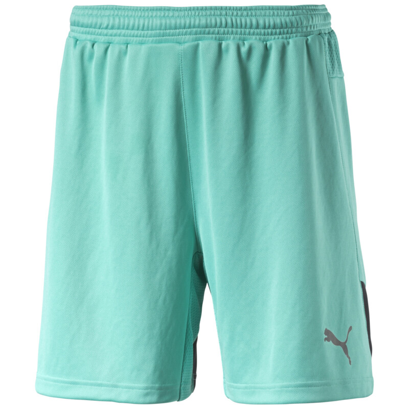 

PUMA Stadium GK Short